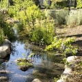 Tournaments in Salt Lake County, Utah: A Comprehensive Guide to Rules and Regulations
